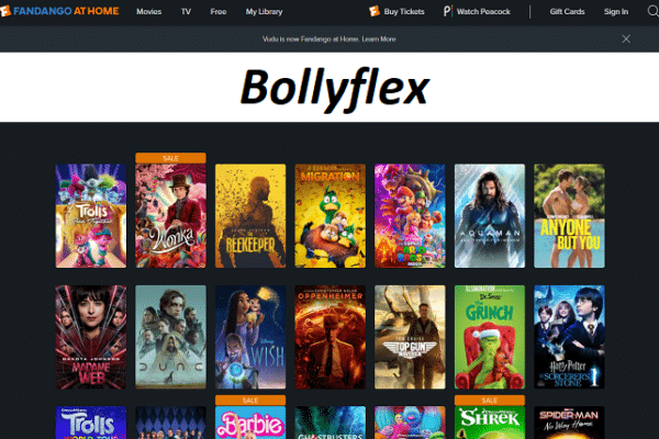 bollyflex