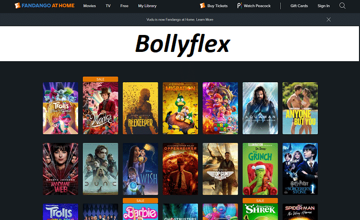 bollyflex