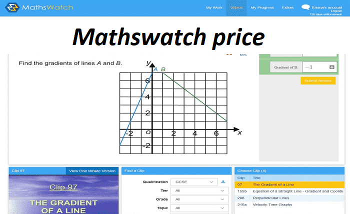 mathswatch price